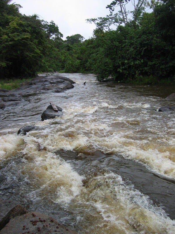 Upper Suriname – adventure
