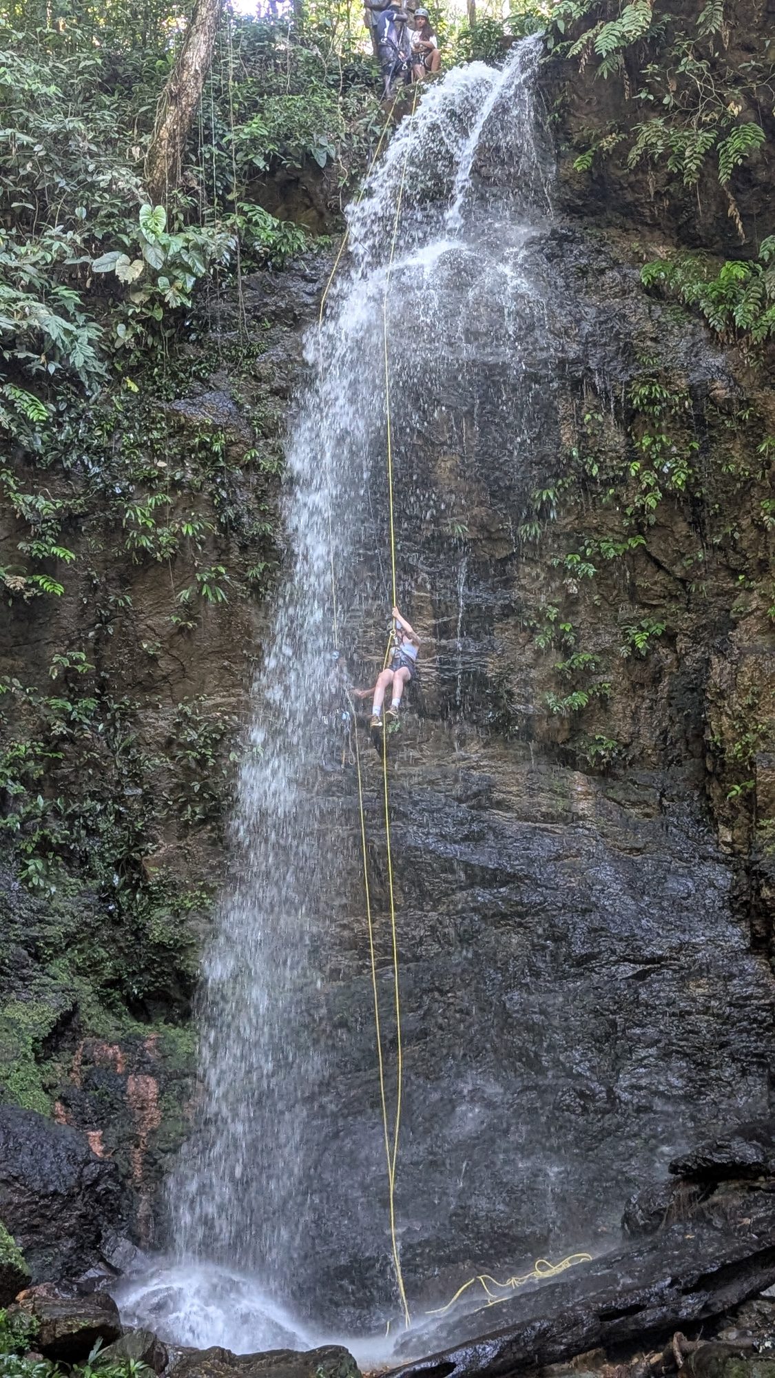 Brownsberg waterfall abseiling & canyoning 3