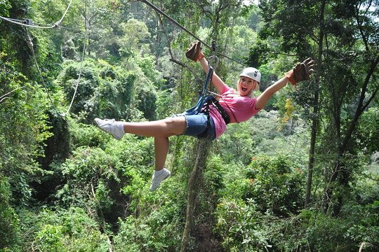Canopy / Zipline