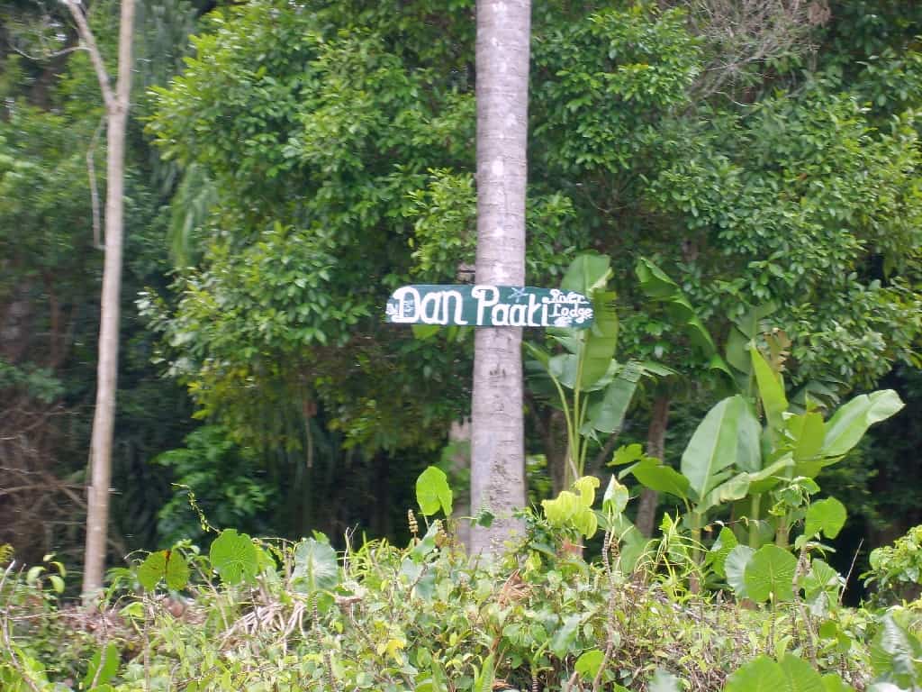 Dan Paati
