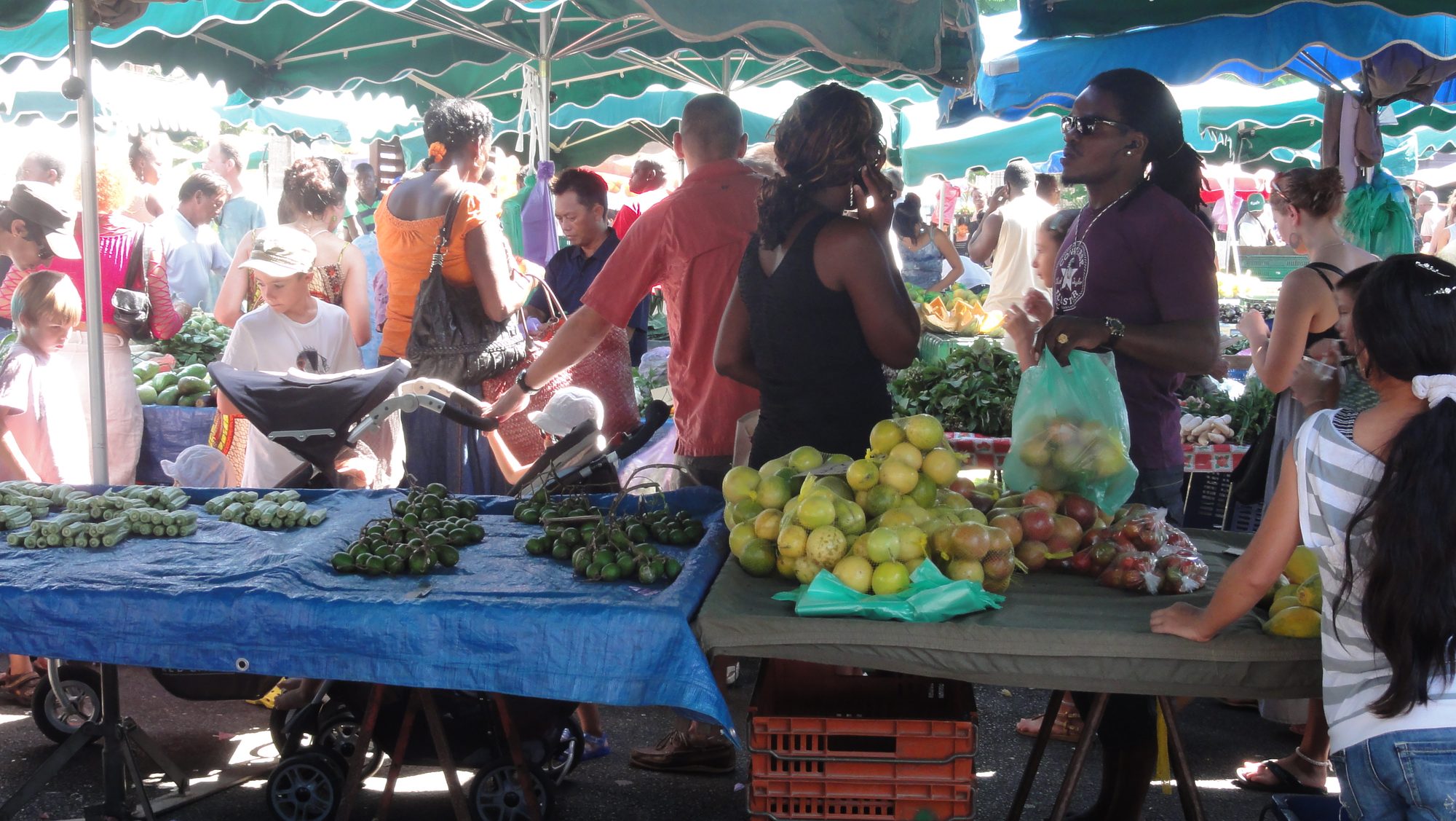 French Guiana day trip