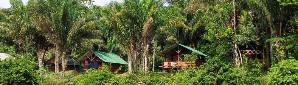 Jungle Resort Pingpe