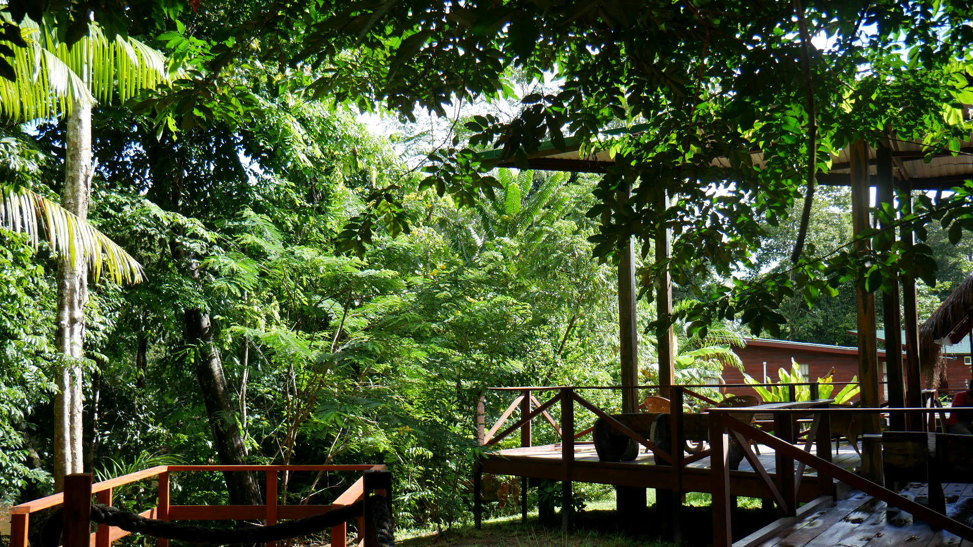 Kninipaati Nature Resort, Upper Suriname