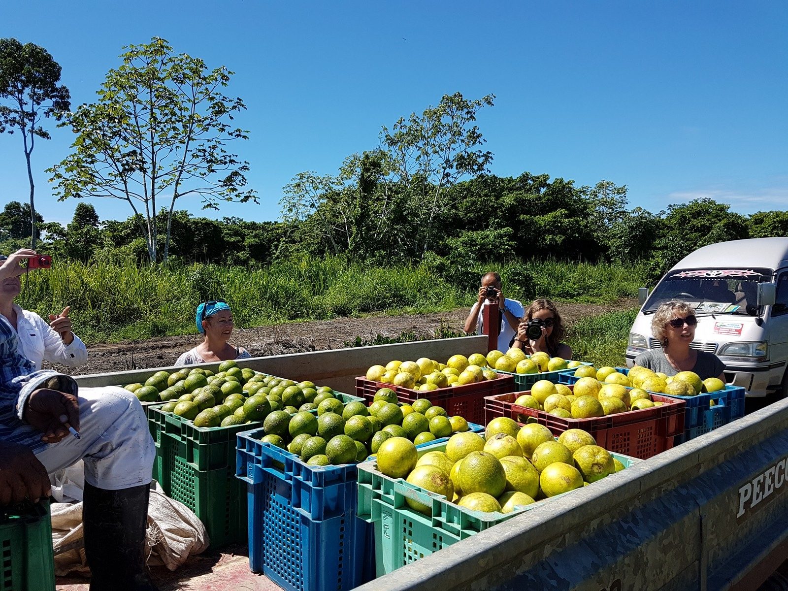 Coffee & citrus plantation tour