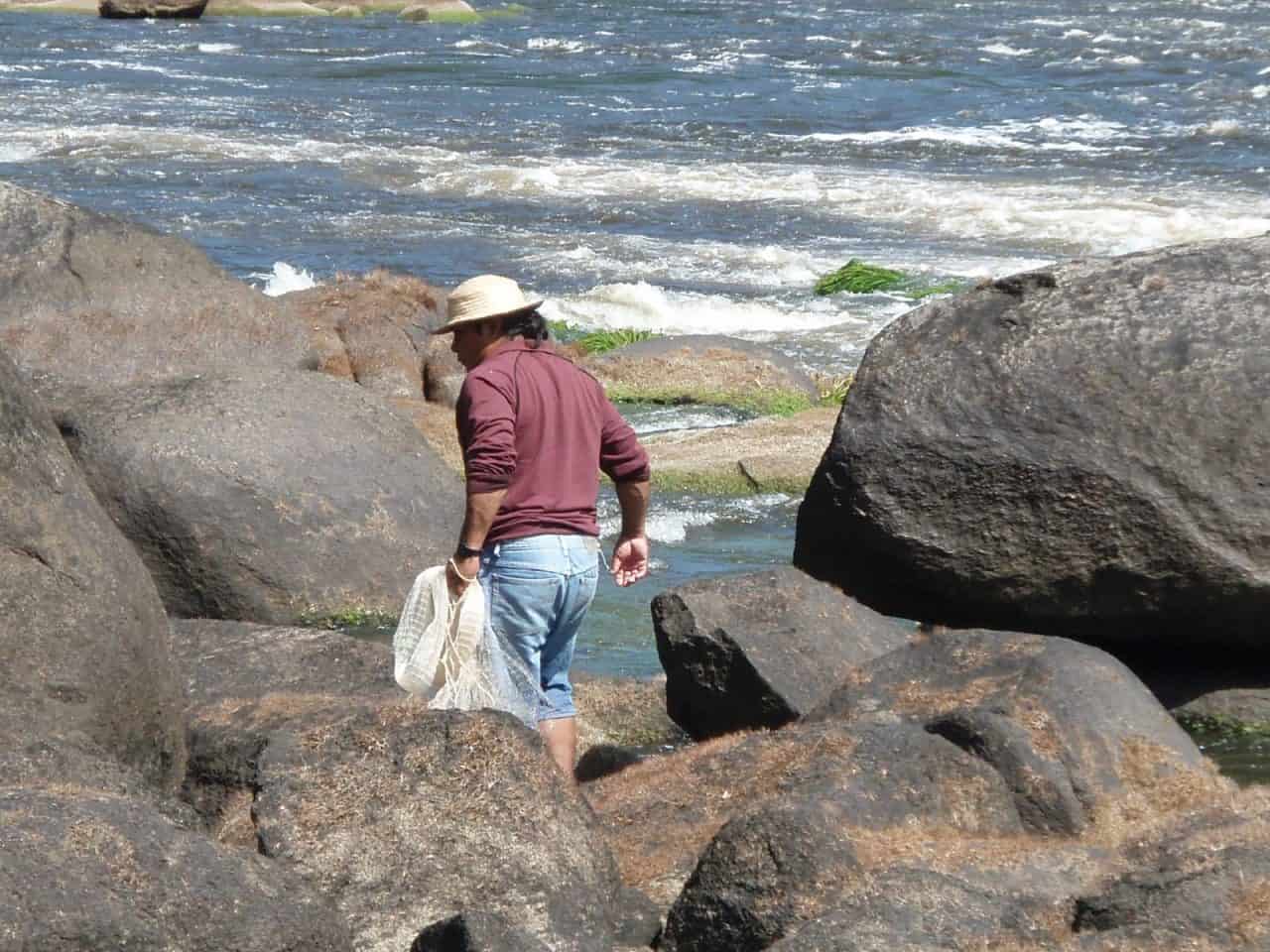 Palumeu